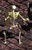 Datei:Diablo Skeleton.jpg