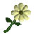 EverQuest Flower white.jpg