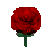 EverQuest Rose.jpg