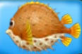 Fishdom Blowfish.jpg
