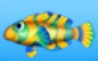 Fishdom Mandarinfish.jpg