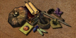 Datei:Morrowind Magierkrieger.jpg