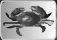 Nick Bounty- A Case of the Crabs Krabbe.jpg
