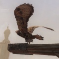 Vorschaubild der Version vom 13:32, 17. Nov. 2010