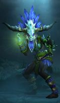 Diablo III Hexendoktor m.jpg
