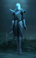 Diablo III Totenbeschwörer w.jpg