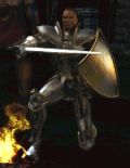Diablo II Paladin.jpg