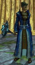 EverQuest Dreamseeker Ellowind.jpg