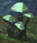 EverQuest HollowsMushroom.jpg