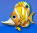 Fishdom 2 ButterflyFish.jpg