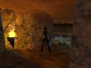 Tomb Raider - Accessing Secret3.jpg