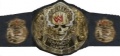 WWE SmackDown vs. RAW 2007 (PS2, XBox 360) SmokingSkull.jpg